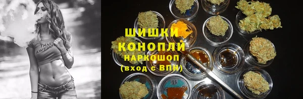 гидропоника Новозыбков
