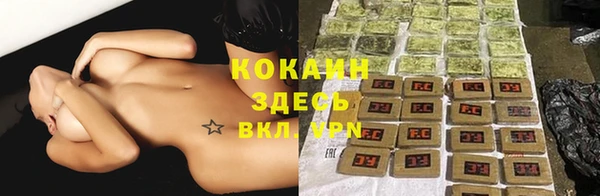 эйфоретик Осинники