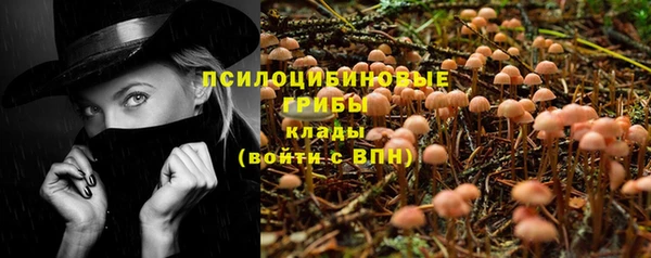 эйфоретик Осинники