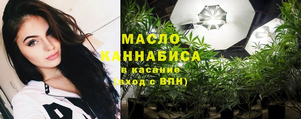 твердый Няндома